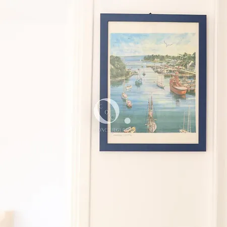 Coc - Les Pelicans *